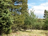 Lot 1038 AF Chalet Unit 2